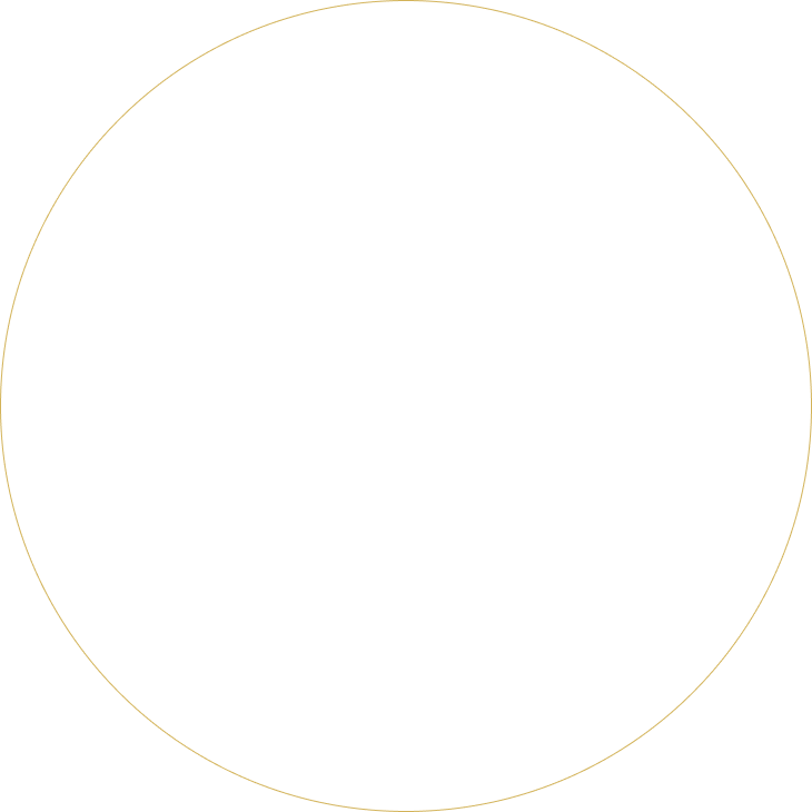 Ellipse 6